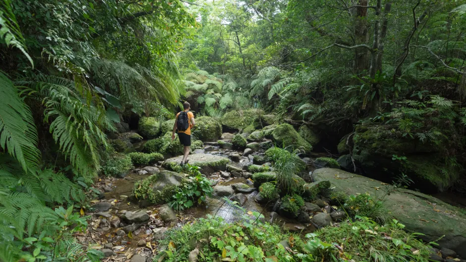 Reiservaringen Maleisisch Borneo