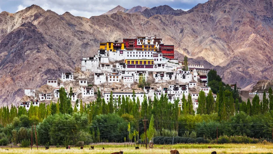 Ladakh rondreis