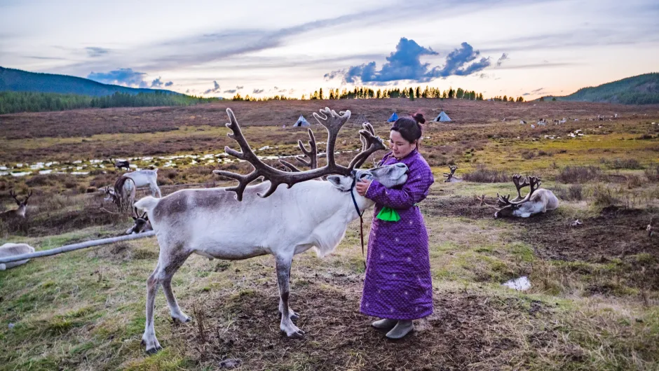 Mongolie duurzaam reizen rendieren taiga