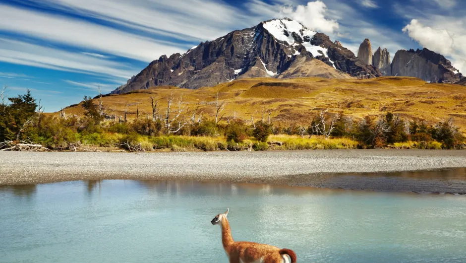 Torres del Paine Chili