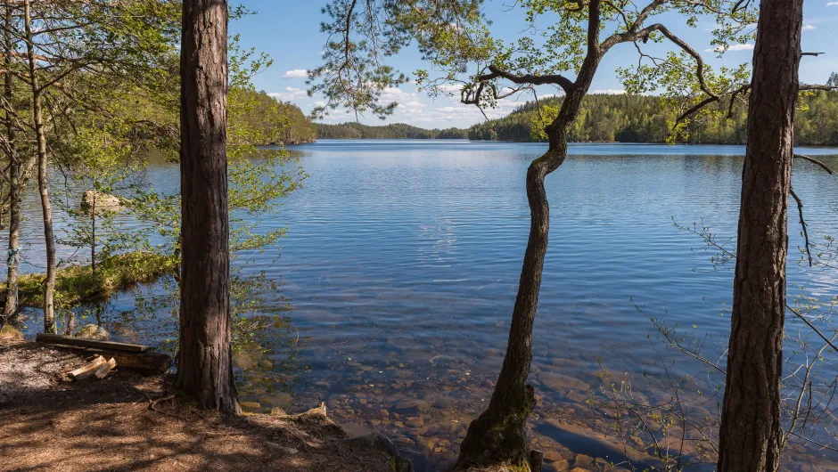 Hoogtepunten Zweden meer