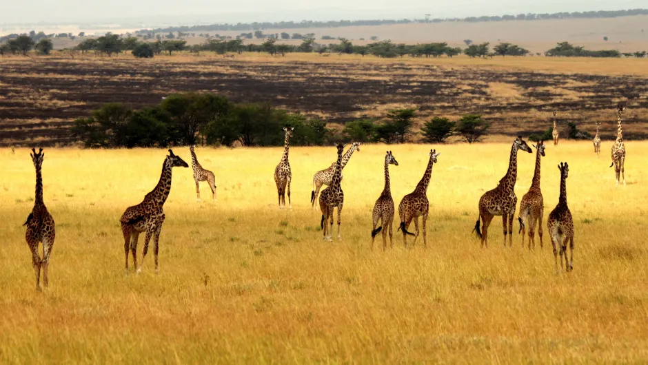 is oost-afrika duur