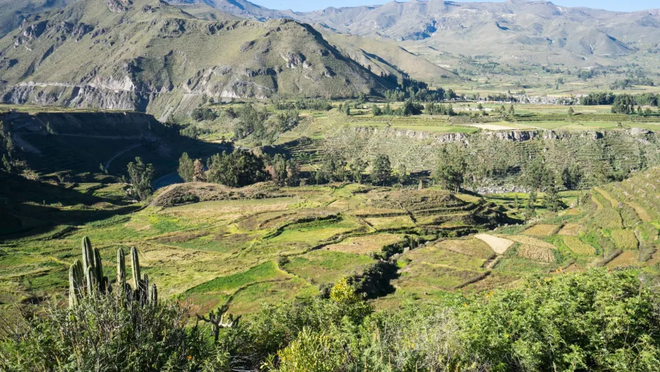 Uitzicht Colca Canyon Peru
