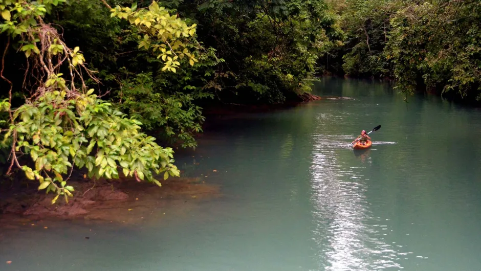 Malaria en intentingen Costa Rica Drake Bay