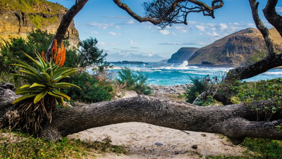 wild coast zuid-afrika