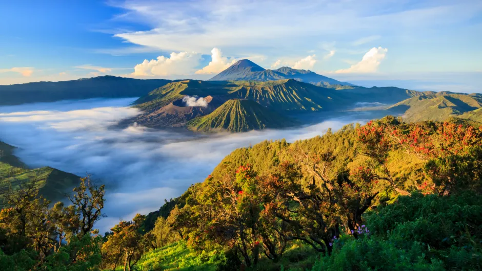 Bromo vulkaan Java Indonesië