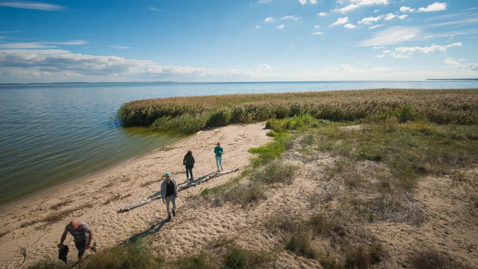 Curonian Spit Litouwen Baltische Staten