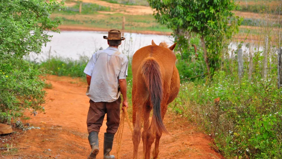 Inentingen Cuba Viñales man met paard