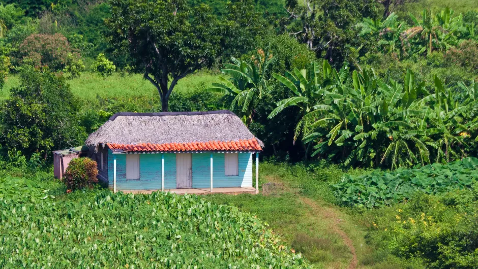 Reisverslag Cuba plattelandshuisje