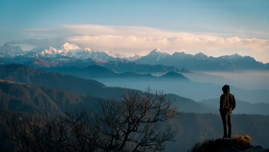 sikkim darjeeling shingalila ridge trek