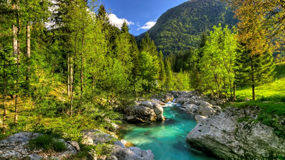 Slovenië Soca rivier