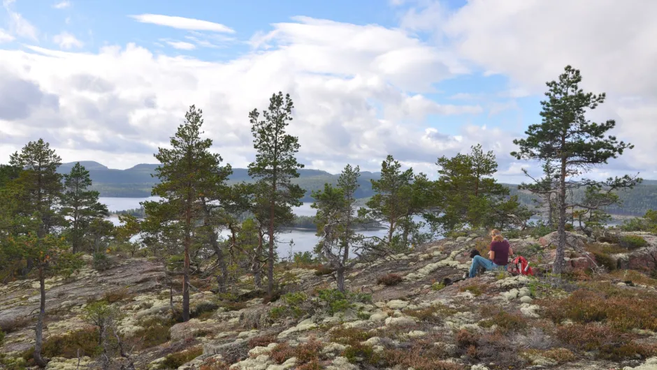 Autorondreis Zweden Brevik Stuggan Hoge Kust