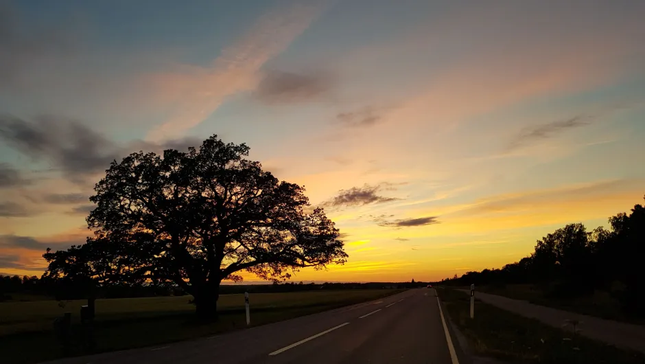 Zweden Skultuna - autoweg met zonsondergang.