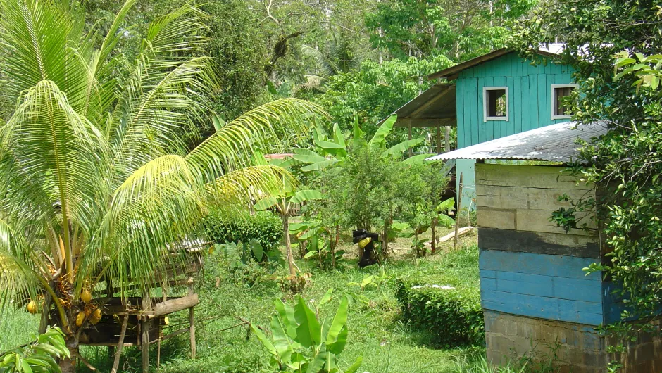 Bijzonder Panama reis Bocas del Toro huisje