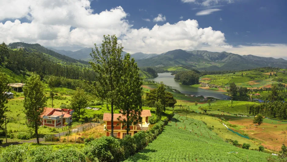 India Ooty