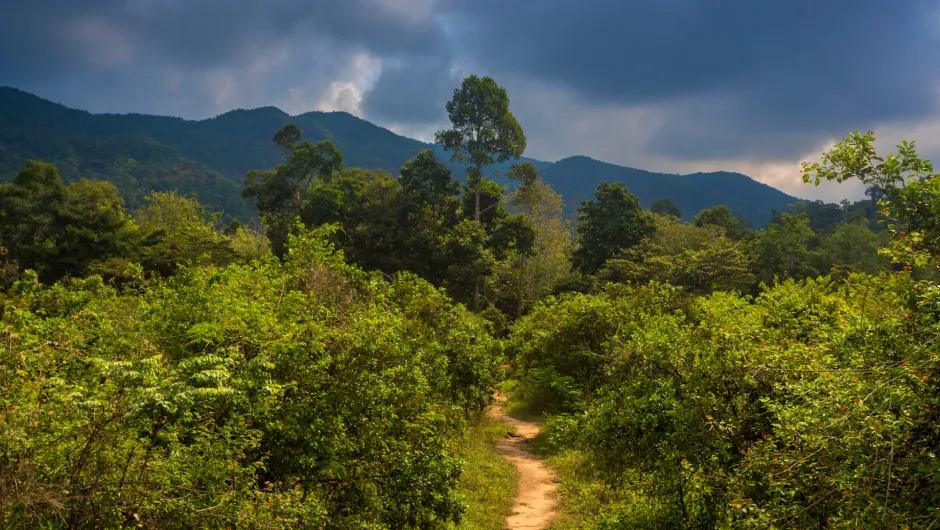 Nepal Chitwan