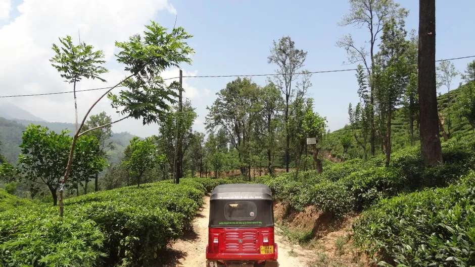 Sri Lanka tuktuk