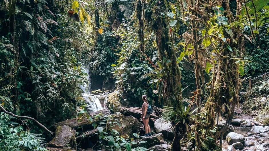 Ecuador vrouw Mindo