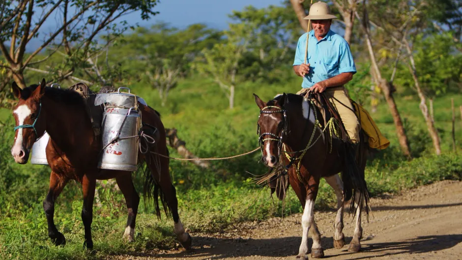 Ultieme Nicaragua vakantie paarden