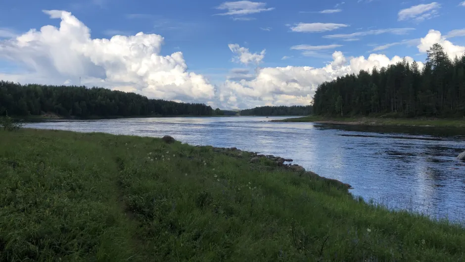 Finland bos en rivier