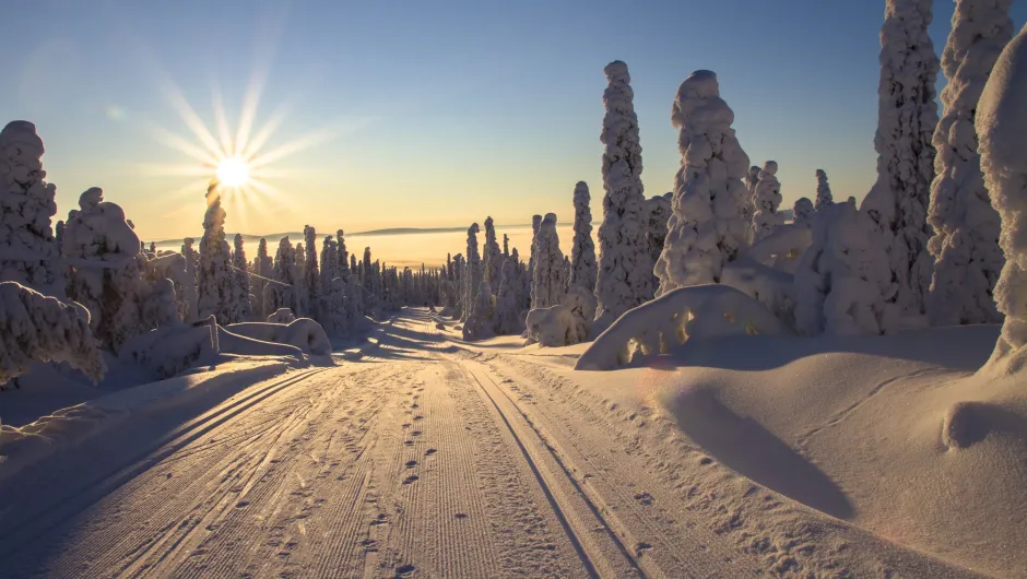Sporen in de sneeuw Finland