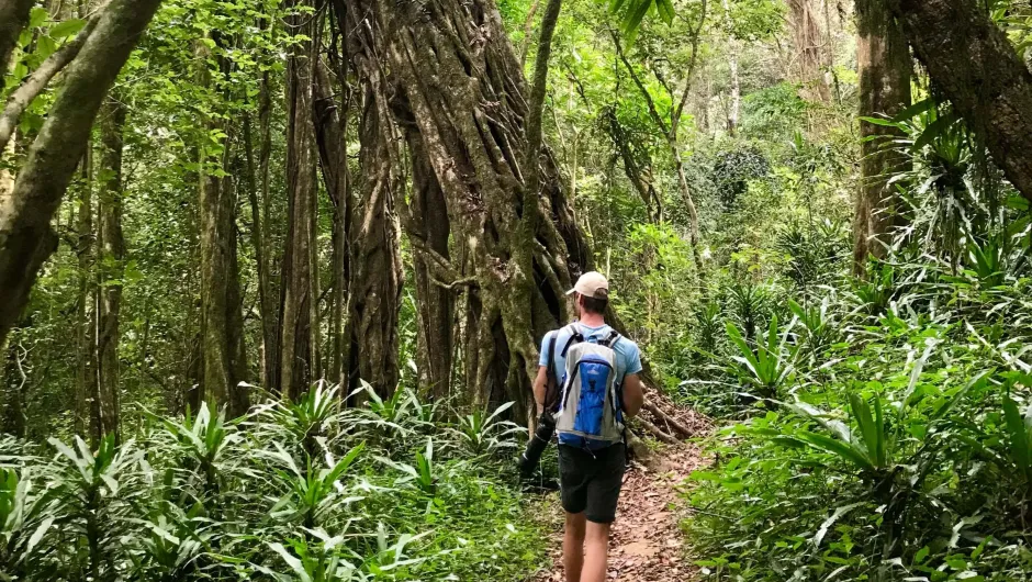 Man wandelt door het Ntichitsi bos Malawi