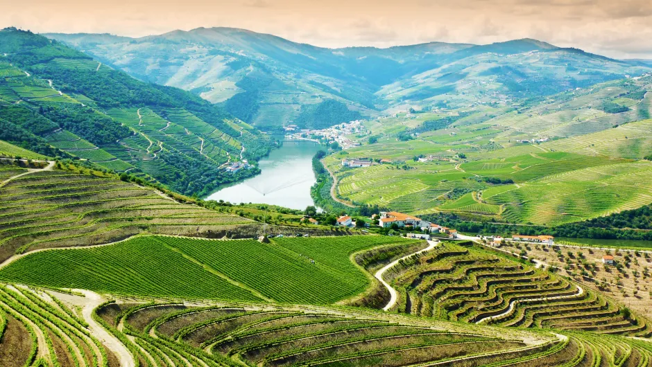 Douro Valley Portugal