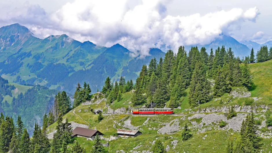 Zwitserland Trein