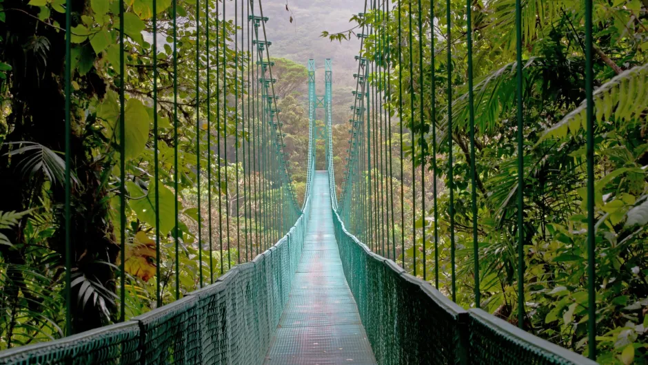 Hangburg in Costa Rica Monteverde