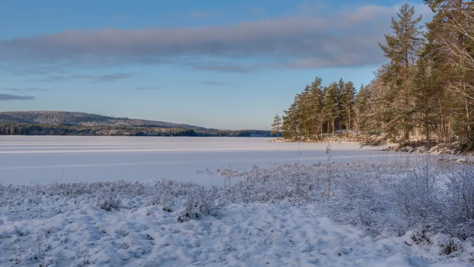Zweden reis in de winter