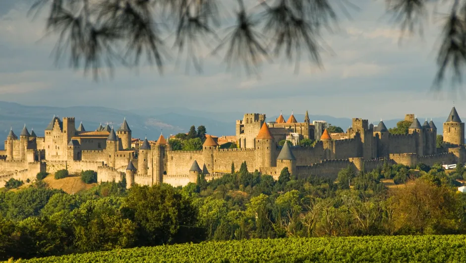 Frankrijk Occitanie Carcassonne