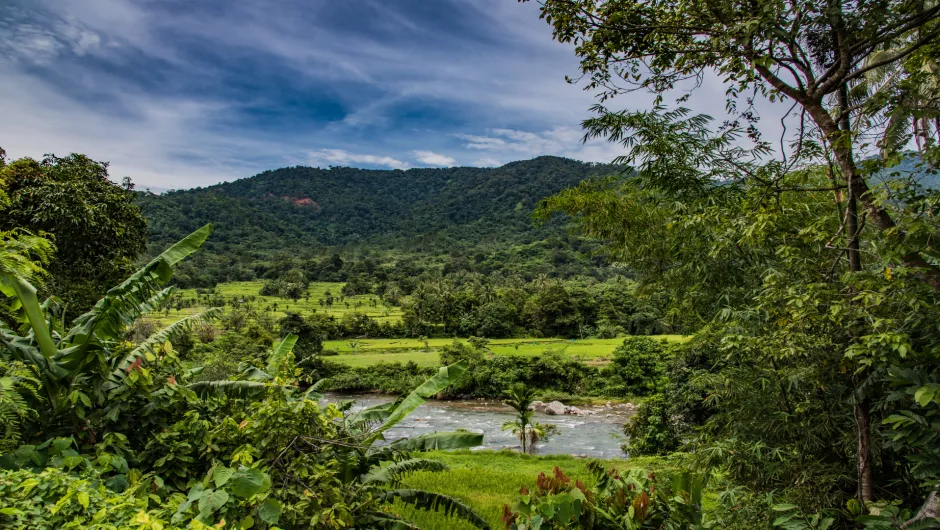 Landschap Sumatra