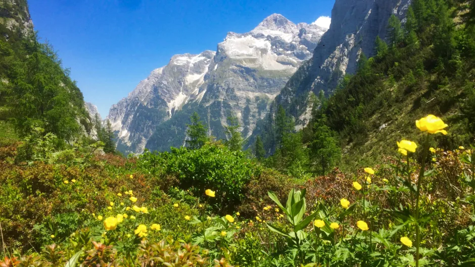 Alpen Slovenië