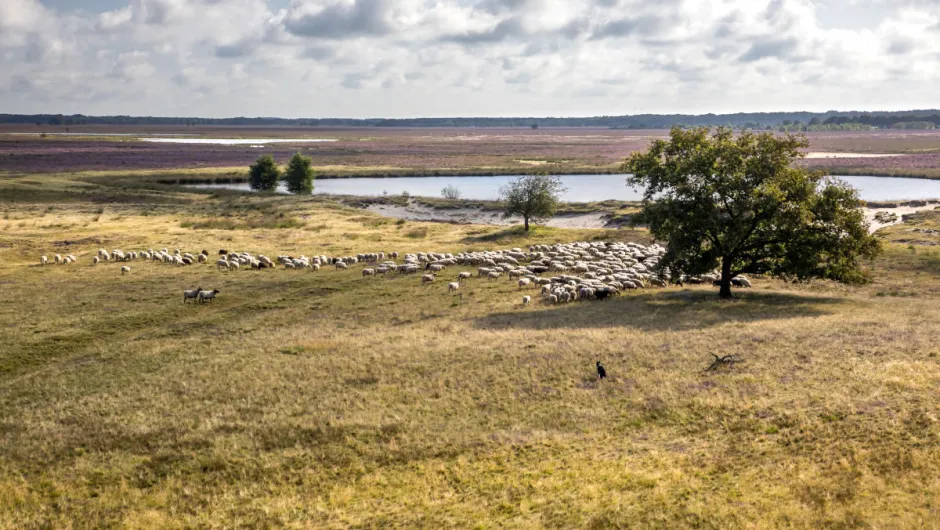 Trektocht Drenthe Karin Broekhuijsen