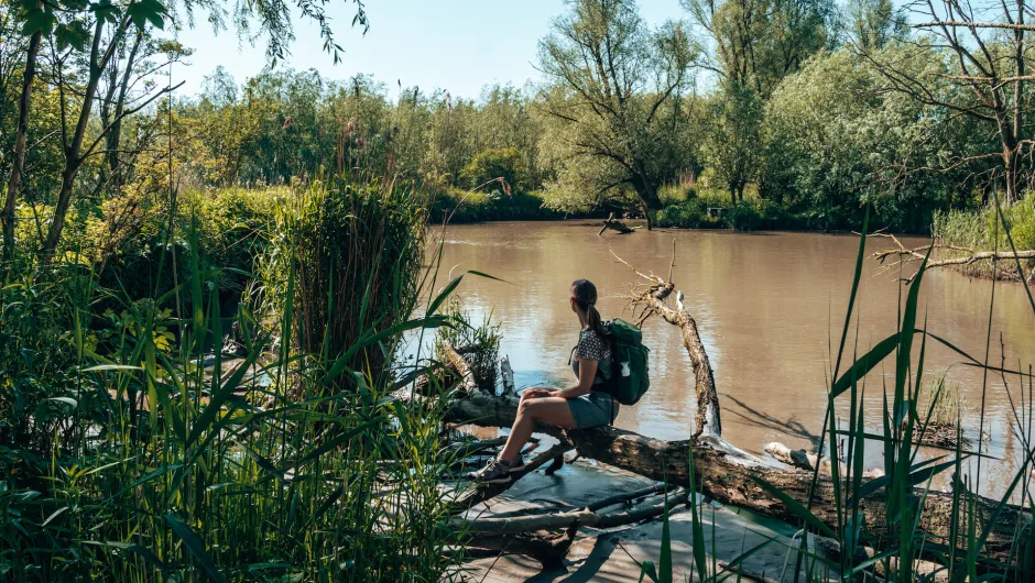 IVN Trektocht de Biesbosch - Avontuur Dichtbij