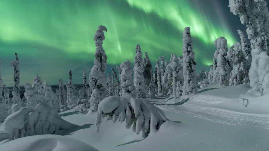 Noorderlicht in Finland