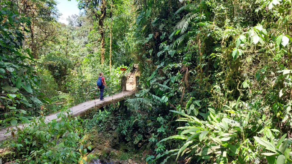 Mindo Ecuador