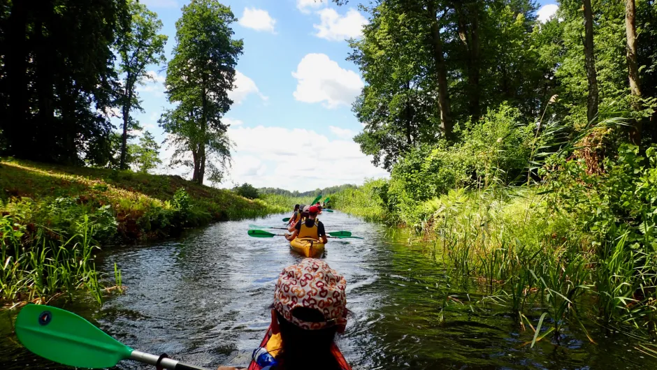 Vakantie Litouwen kajak 