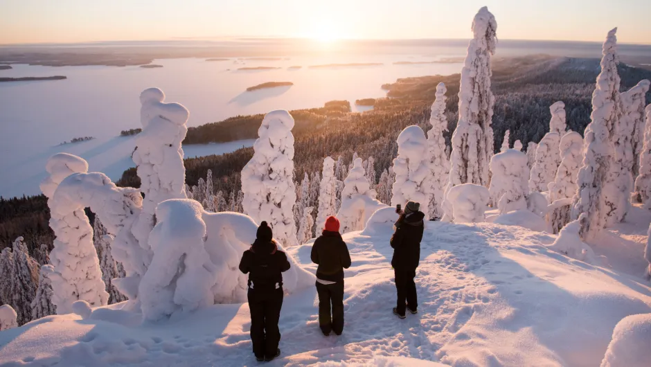 merengebied Finland winter