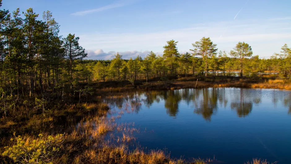 Baltische Staten Lahemaa Estland vakantie