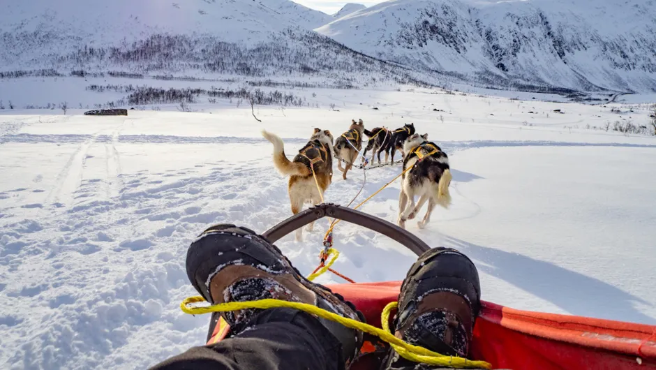 Huskytocht winter excursie Finland