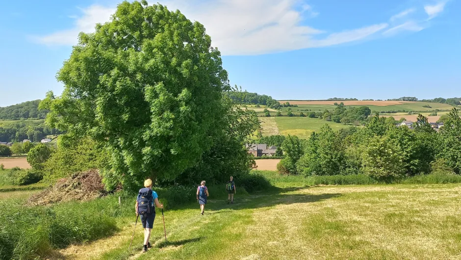 Dutch Mountain Trail