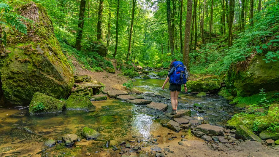 Groepsreis Mullerthal Tail Luxemburg