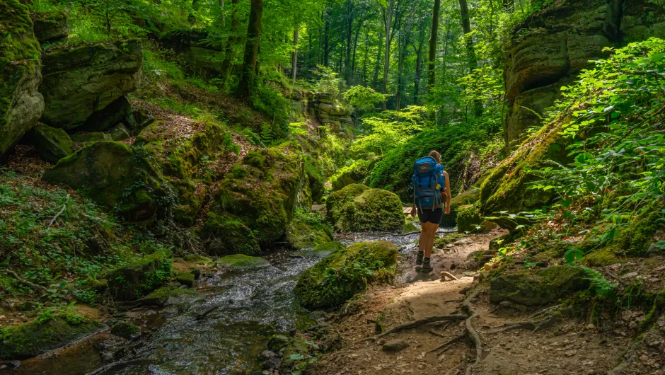 Mullerthal trail Luxemburg 