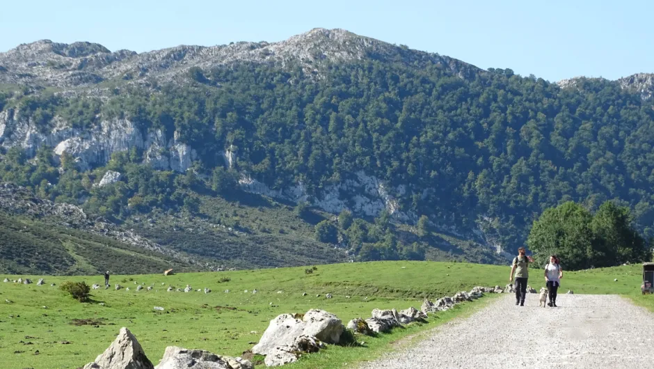 Picos de Europa, wandelen Asturië, Spanje