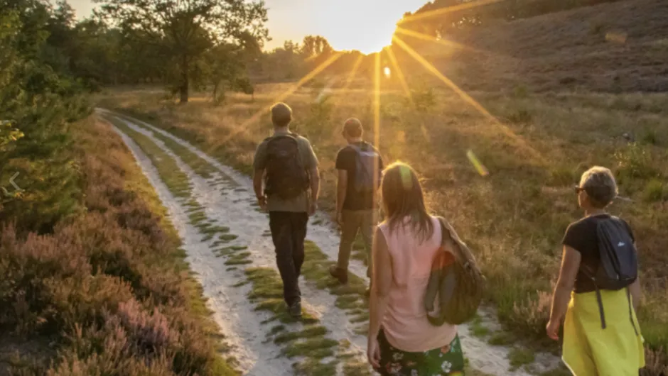 Wandelweekend Hoge Kempen