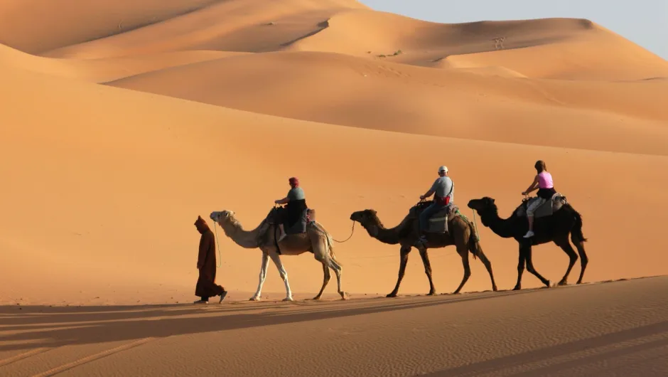 Marokko Sahara Kamelen caravaan