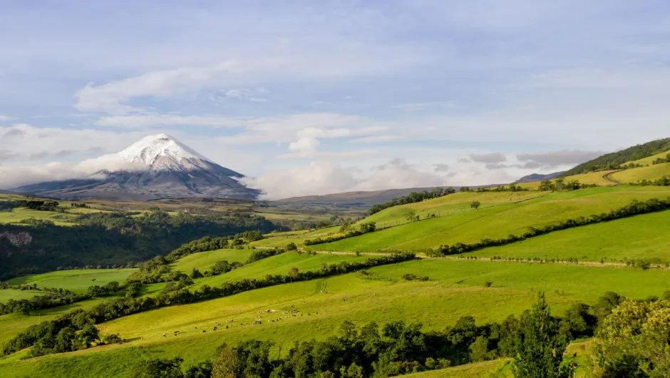 De cotopaxi Ecuador