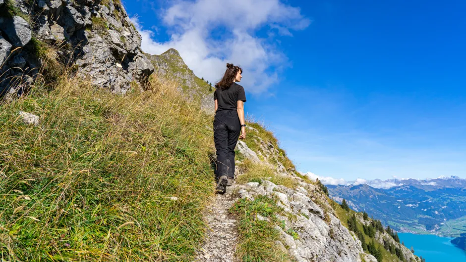 Voordelen van wandelen in de buitenlucht