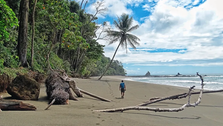 Costa Rica Manuel Antontio strand